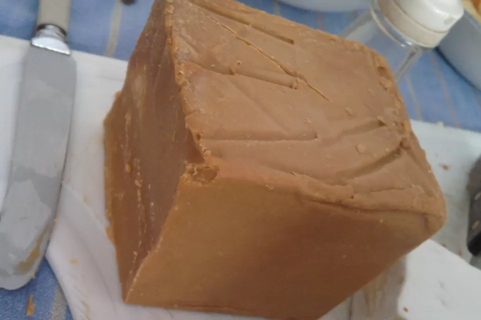 Weird fudge-like cheese